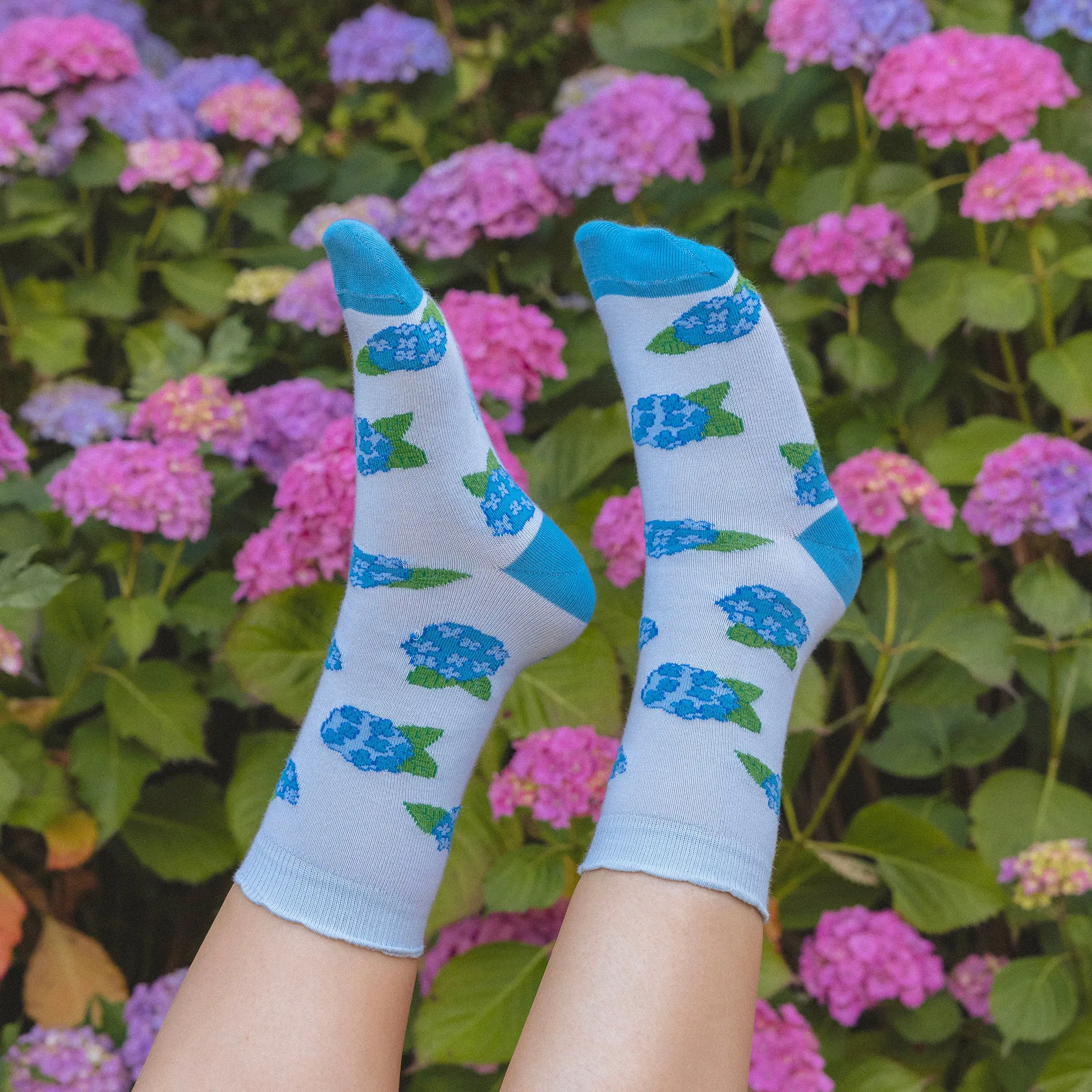Chaussettes Hortensia Coucou Suzette