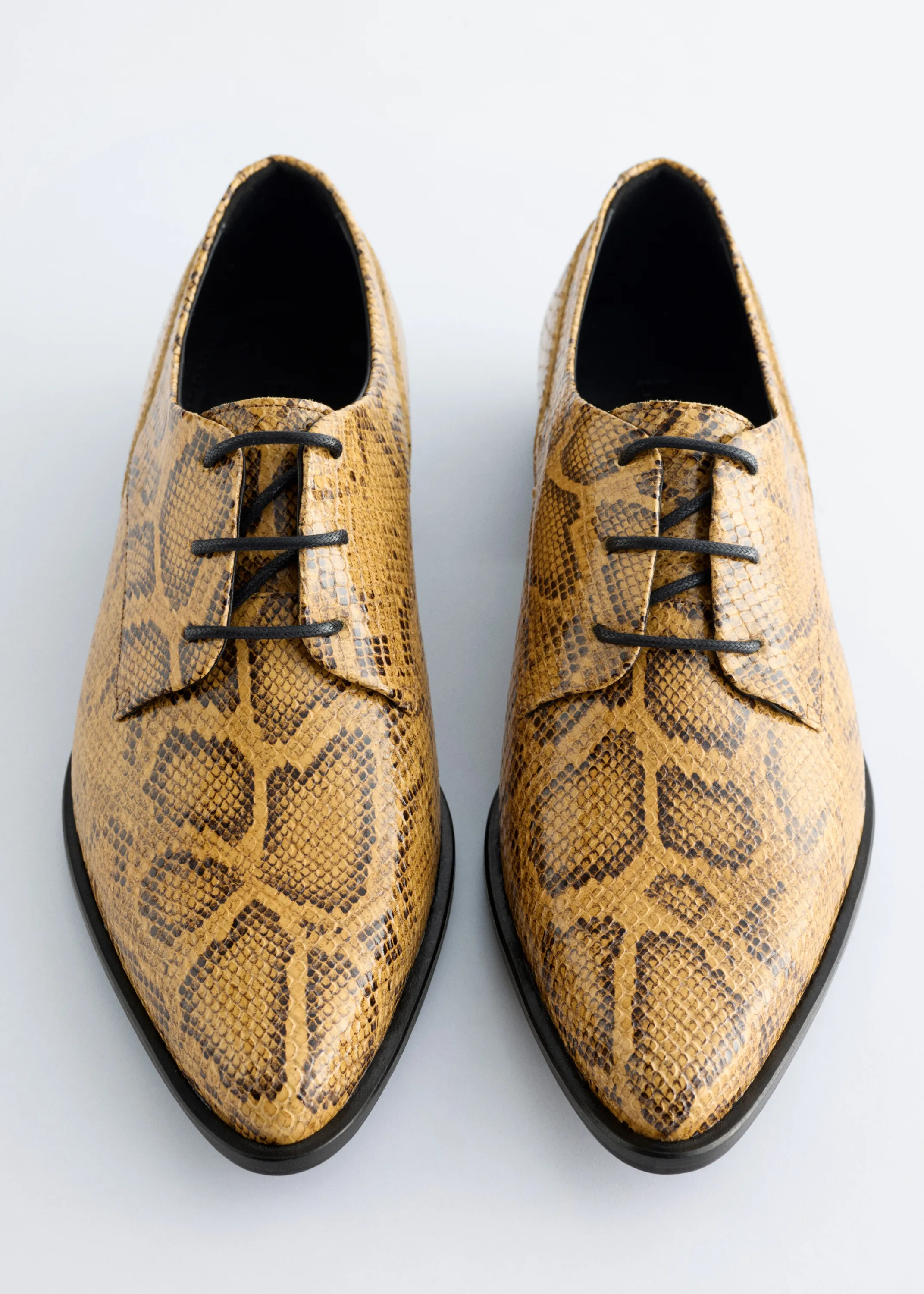 Chaussures derbies en cuir - Beige/Façon serpent