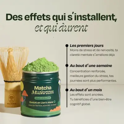 Matcha Focus – Holi Mushie — photo 3
