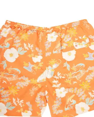 Baggies Lights Short Graphic Tigerly Orange — photo 4