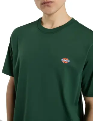 DICKIES TEE SHIRT logo Vert — photo 5