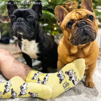 Chaussettes Bouledogue Coucou Suzette — photo 4