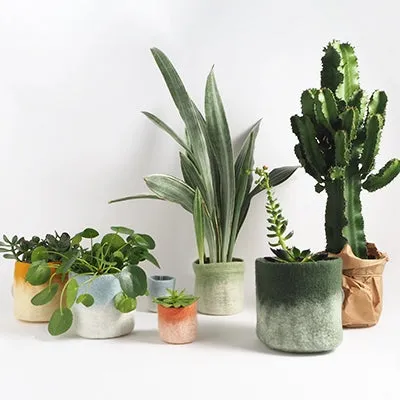 Cache-pot ombré en laine 8 cm – Aveva