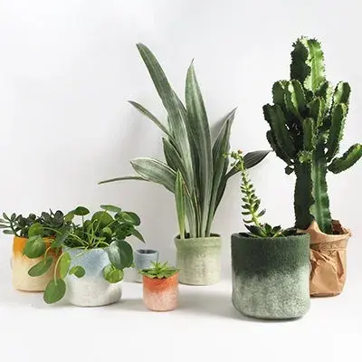 Cache-pot ombré en laine 8 cm – Aveva