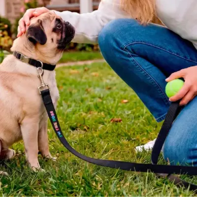 Laisse pour Chien I'm the Boss — photo 2