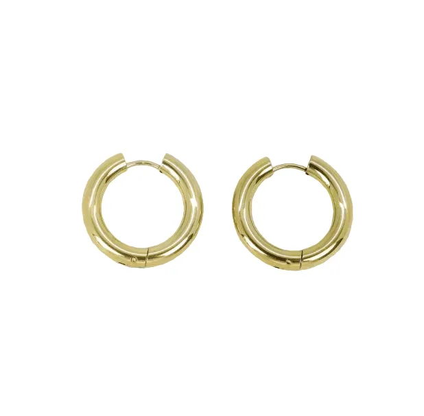 Boucles d'oreilles en acier inoxydable Terrence - Doré