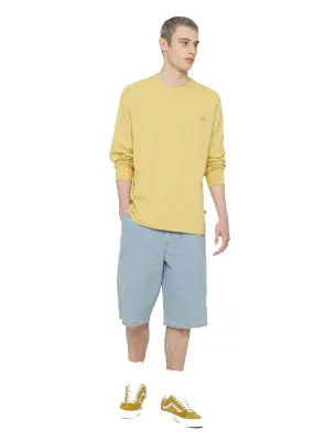 DICKIES BAGGY SHORT JEAN'S Bleu ciel — photo 4