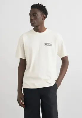 DICKIES TEE SHIRT BUTCHELL Imprimé Beige — photo 4