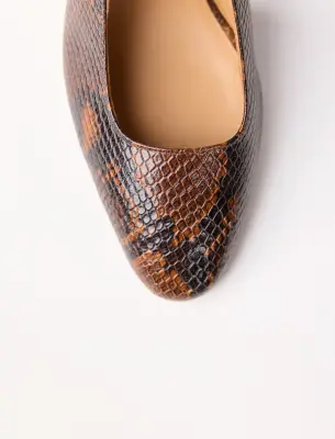 Ambre - Python — photo 3