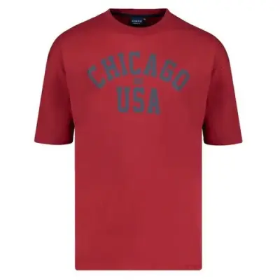 ADAMO TEE SHIRT CHICAGO Bordeaux — photo 1