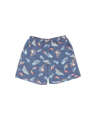 Baggies Short Tidepool Blue — photo 1