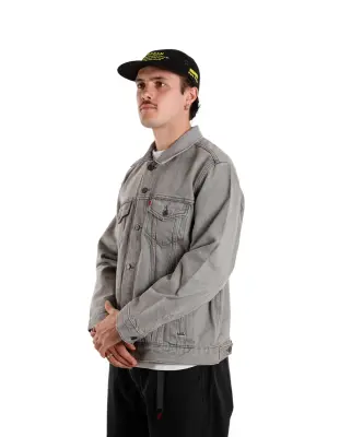 The Trucker Jacket Goosebumps — photo 5
