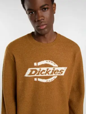 Sweatshirt Dickies Ruston sweater – Brown Duck — photo 5