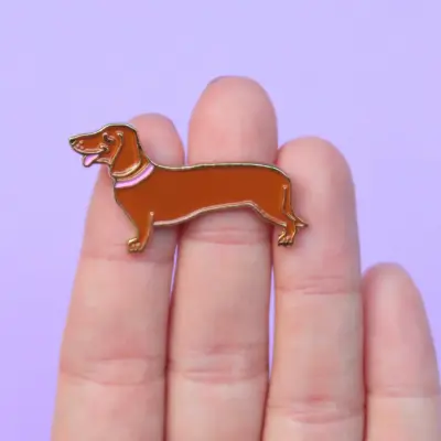 Pins Teckel — photo 2