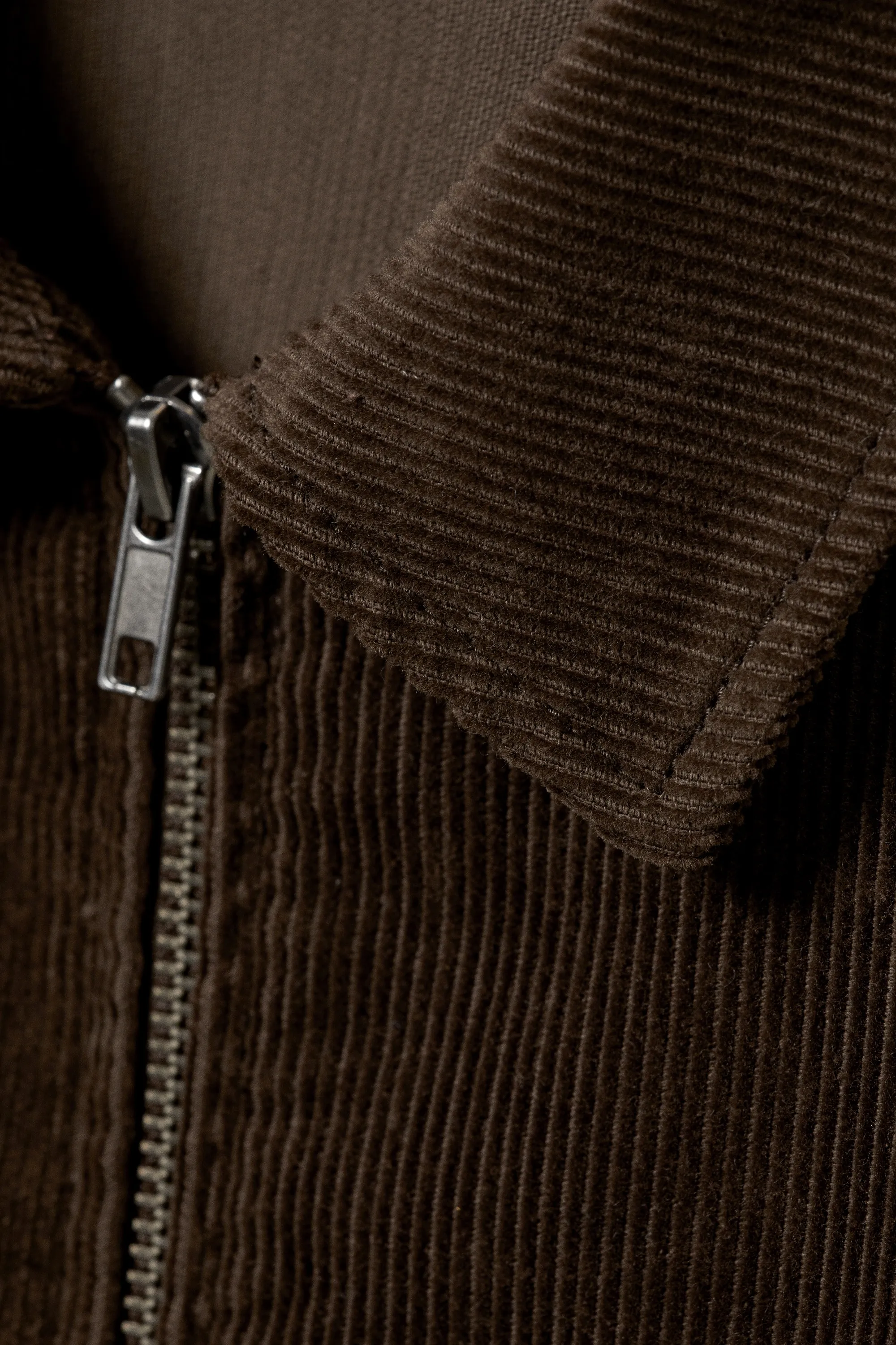 Veste zippée ajustée en velours côtelé - Velours côtelé marron