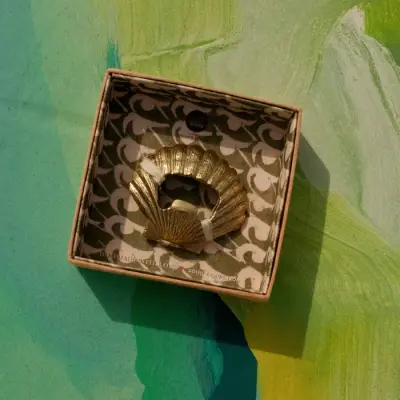 Decapsuleur Coquillage — photo 2