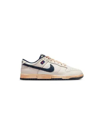 Stranger Things Dunk Low SP Phantom — photo 1