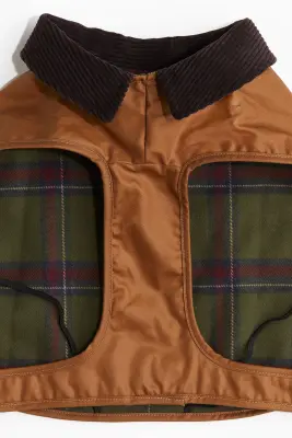 Manteau ciré pour chien - Marron — photo 2