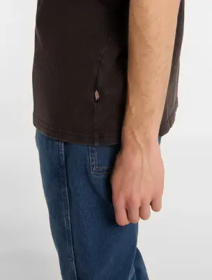 t-shirt Dickies mi-lourd Coolidge – black — photo 4