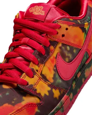 Dunk Low The Wizard of Oz Poppy Field — photo 4