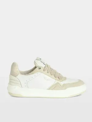 Sneakers Basses Wings
