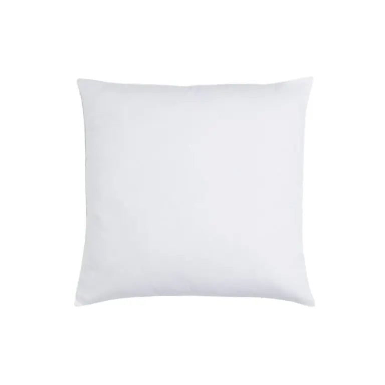Intérieur de coussin plume 50x50