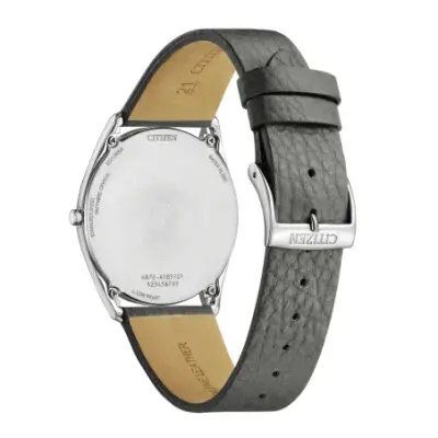 Citizen Eco-Drive Suratto AR3120-24L — photo 3