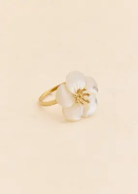 Bague Silva — photo 1