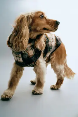 Manteau pour chien en tissu Teddy bear - Beige clair/carreaux — photo 1
