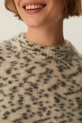 Pull Boleo Dalmatien — photo 2
