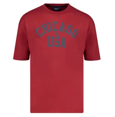 ADAMO TEE SHIRT CHICAGO Bordeaux — photo 2