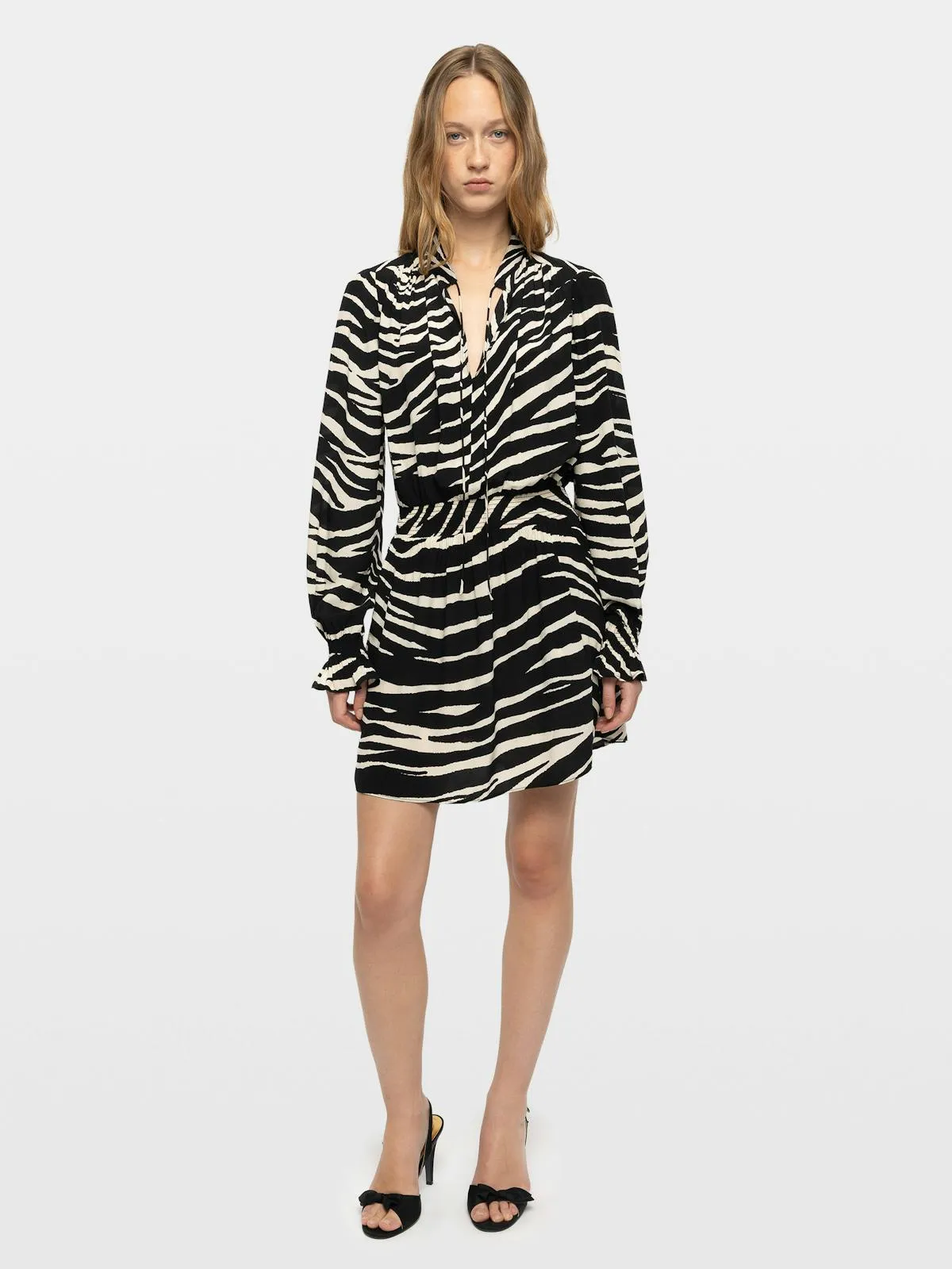 Robe Rayados