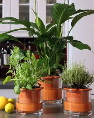 Pot en terre cuite intelligent – Wet Pot