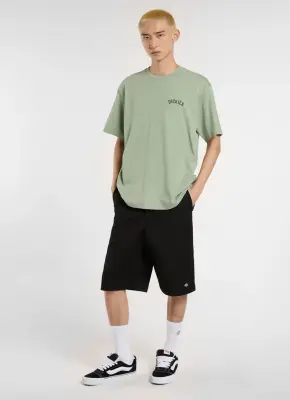 DICKIES SHORT 13 IN MLT Noir — photo 4