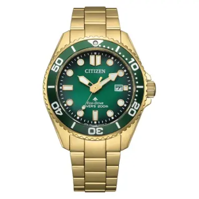 Citizen Promaster Marine eco-drive BN0262-59W — photo 1