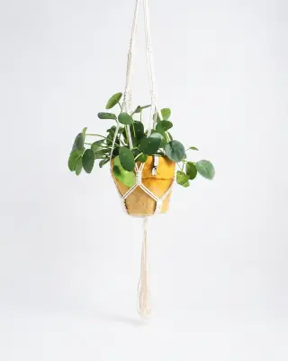 Suspension pour pot en macramé Nature – Aveva — photo 2