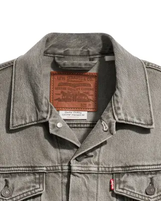 The Trucker Jacket Goosebumps — photo 3