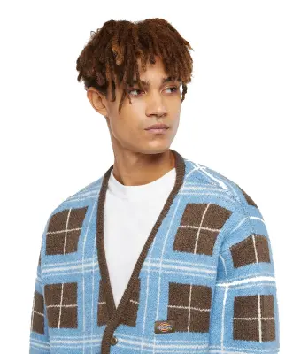 DICKIES CARDIGAN CARREAUX Marron Vert amande — photo 4