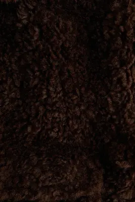 Veste duveteuse - Marron foncé — photo 5