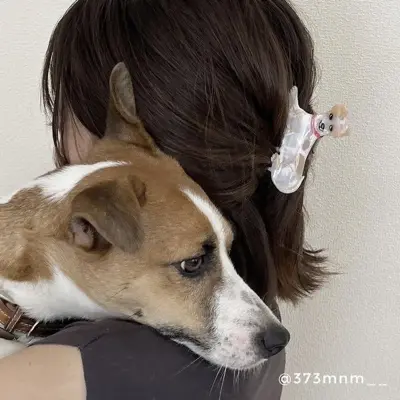 Pince à cheveux Chien Jack Russell Coucou Suzette — photo 3