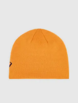 Bonnet Dickies Summerdale logo beanie – Pumpkin spice — photo 2