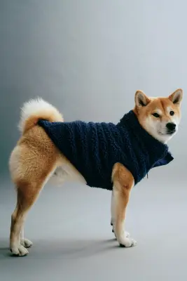 Manteau pour chien en tissu Teddy bear - Bleu foncé — photo 3