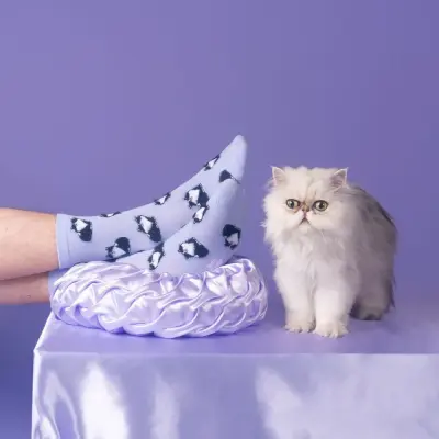 Chaussettes Chat Noir & Blanc Coucou Suzette — photo 1