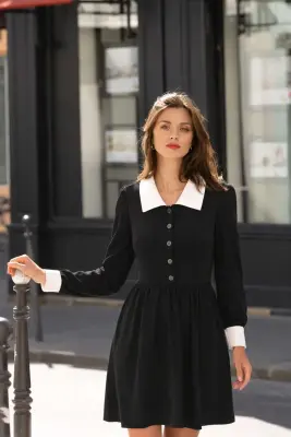 Ginny Collared Dress — photo 1