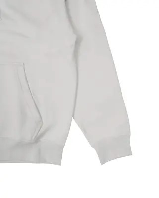 Soloswoosh FZ Hoodie Light Bone — photo 4
