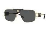 Lunettes mod 2251