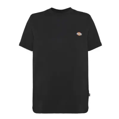 DICKIES MAPLETON TEE SHIRT Marron — photo 1