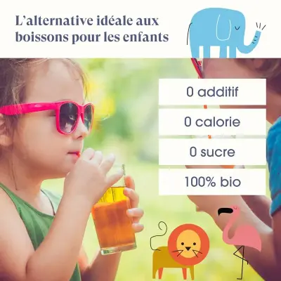 Assortiment Infusions Enfants Bio – Horae — photo 4