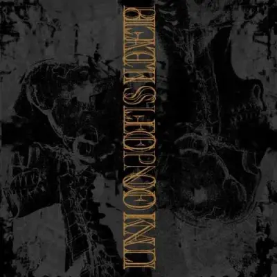 UNION OF SLEEP – split with BLACK SLEEP OF KALI – VINYL LP (black)