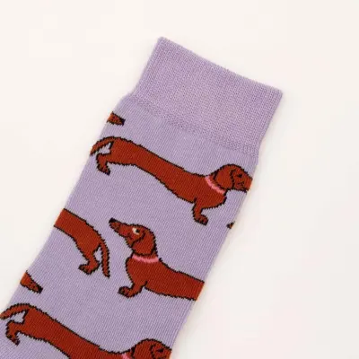 Chaussettes Teckel – Coucou Suzette — photo 7